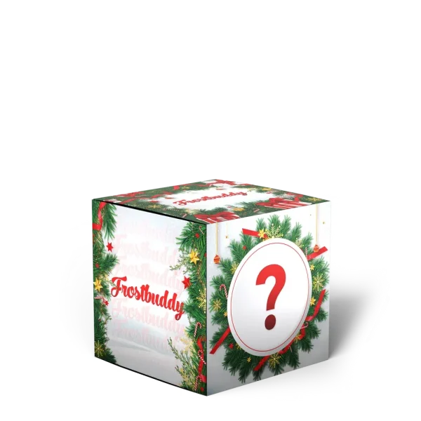 Christmas Mystery Buddy Box 2025