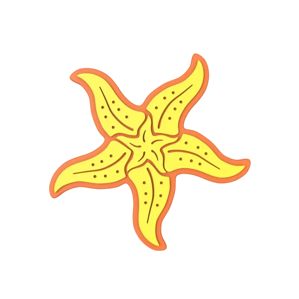 Budz | Starfish