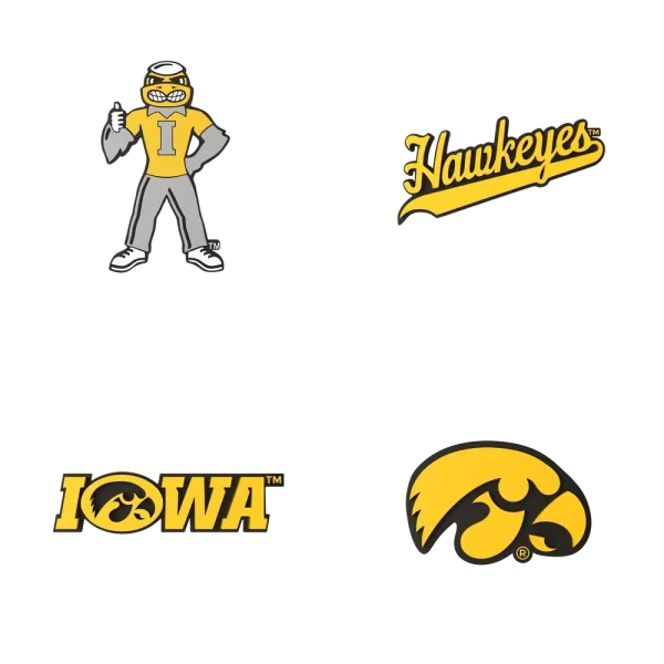 Budz | Iowa Hawkeyes | 4-Pack Bundle